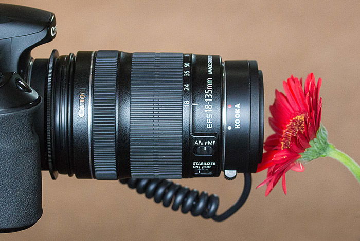 A DSLR camera taking a macro photography of a red flower