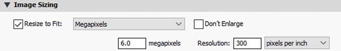 Screenshot of how to resize an image in Lightroom using the megapixels option