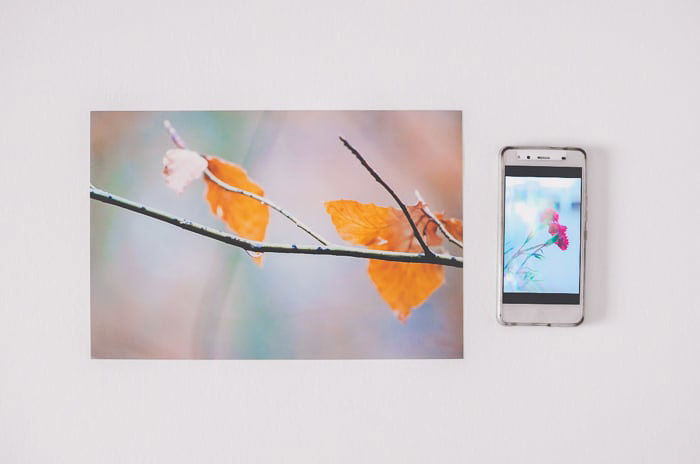 A resized photo of autumn leaves beside a smartphone