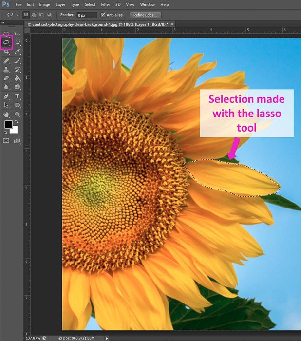 Screenshot of using the Lasso Tool shortcut Photoshop selection tools
