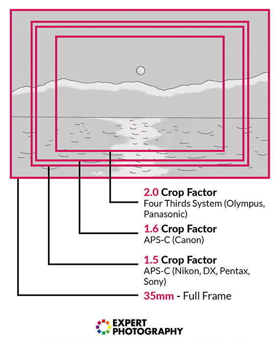 Full Frame vs Crop Sensor   Which is Best in 2023  - 5