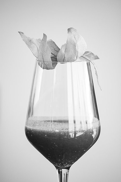 A black and white still life photo of a wine glass 