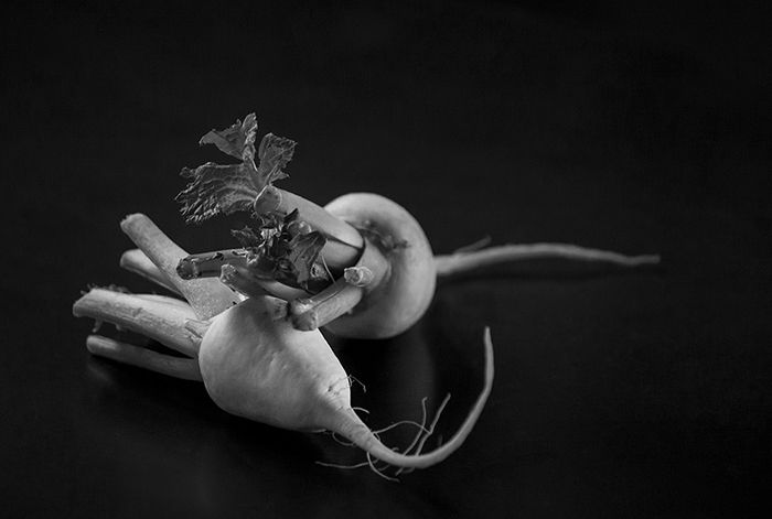 5 Tips for Black and White Still Life Photography - 85