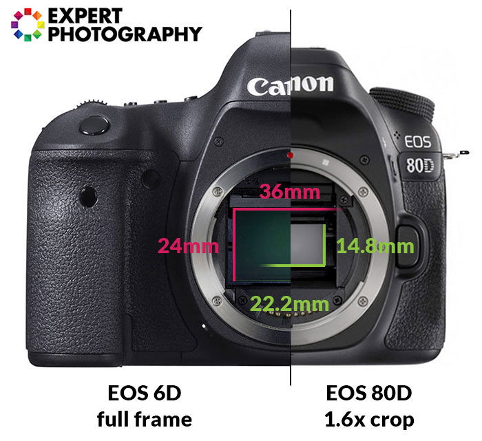 crop sensor vs full frame canon macro