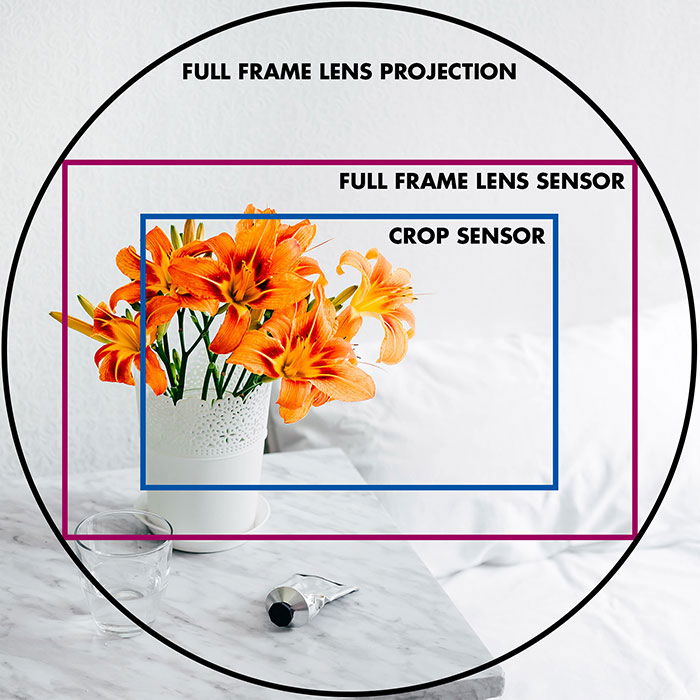 Full Frame vs Crop Sensor   Which is Best in 2023  - 70