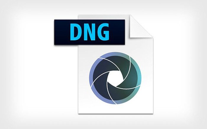 Adobe icon for dng file format
