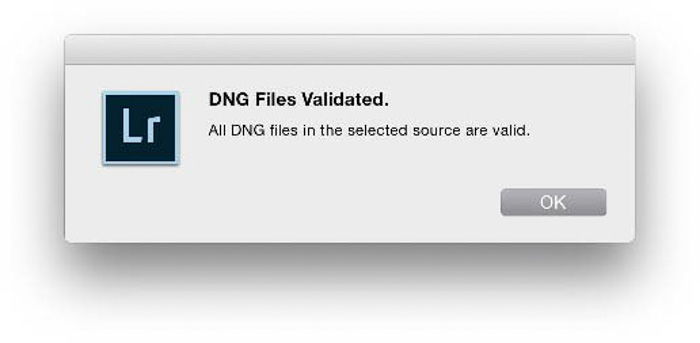 DNG File vs RAW File  What s the Difference   - 98