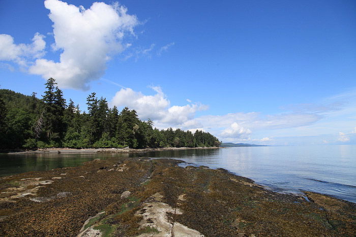 A coastal landscape on a clear day - professional photography tips