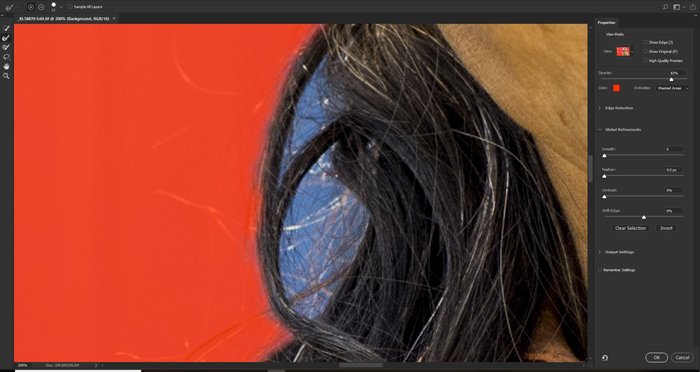 Screenshot of using the close up selection tool to remove the background in Photoshop