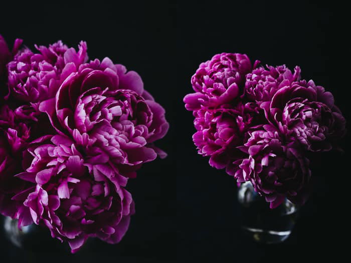 Dark and moody floral photography prints to sell online