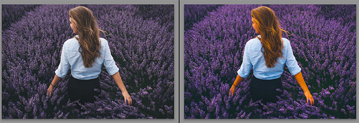 vibrance-vs-saturation-in-photography-which-one-to-use