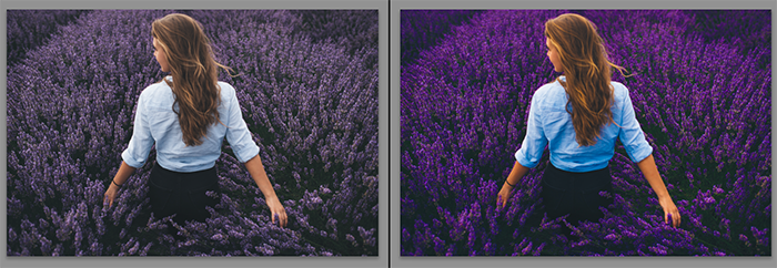 Diptych showing what is vibrance and what it does to a portrait photo 