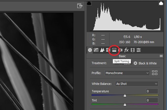screenshot of editing black and white photography