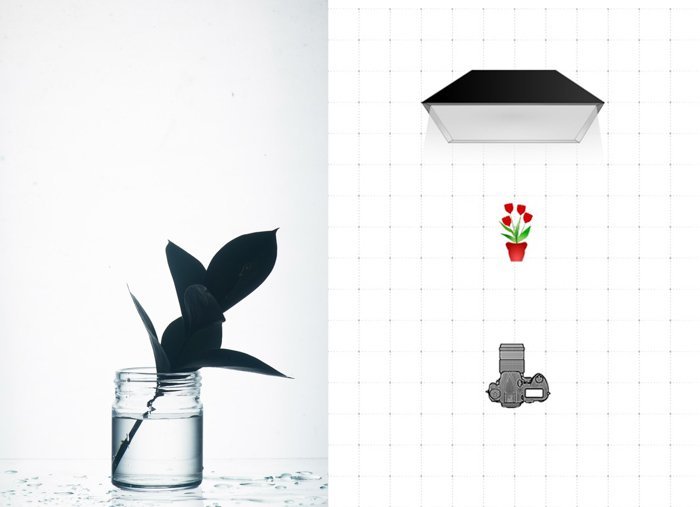 Diptych of a photo of leaf in a glass jar and a diagram explaining the glass photography lighting setting