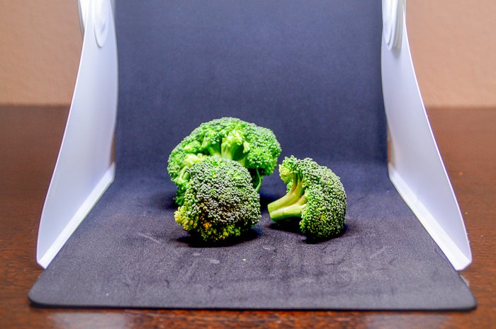 Three pieces of broccoli set up in a light tent
