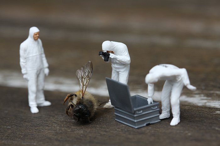Toy action figures posed photographing a dead wasp