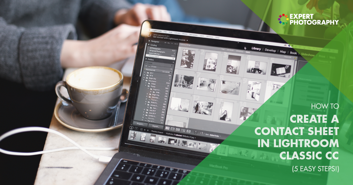 how-to-create-a-lightroom-contact-sheet-5-easy-steps