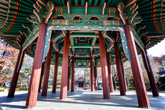 A colorful wooden structure shot outdoors with the best architecture camera