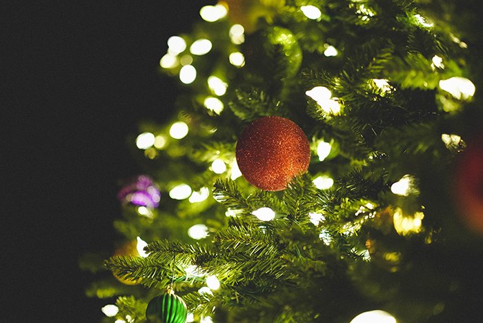 Christmas lights on a tree