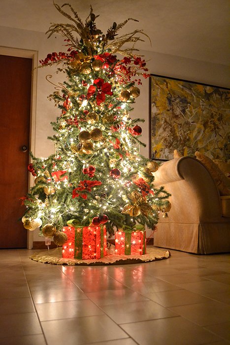 An indoor christmas photo of a decorated tree