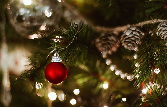 5 Unique Indoor Christmas Photo Shoot Ideas