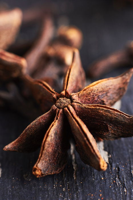 A close up of an star anis spice shot with an extension tube on a lens