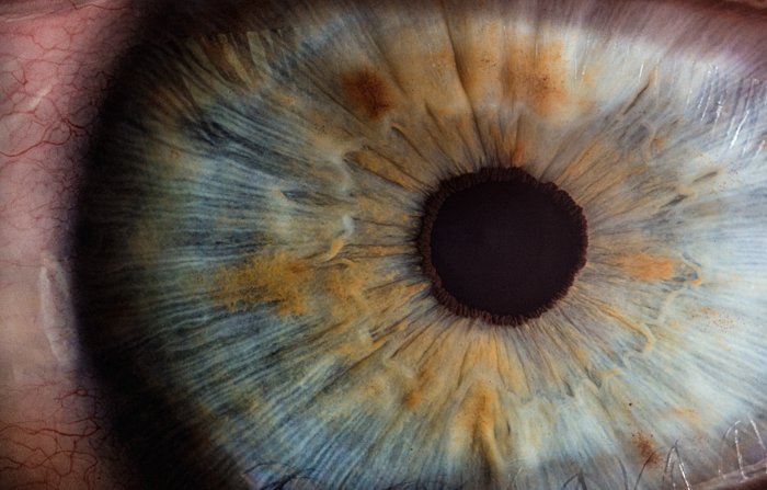 A macro photo of an eye