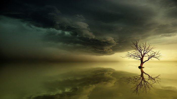 Atmospheric landscape photography with a moody tree during a storm