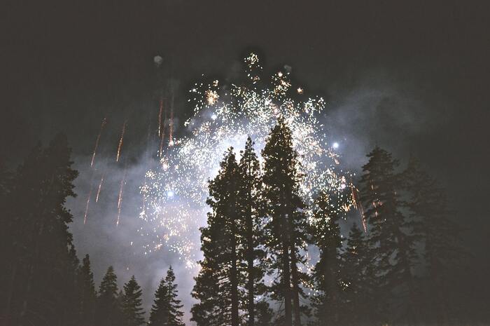 Photo of fireworks exploding above a forest