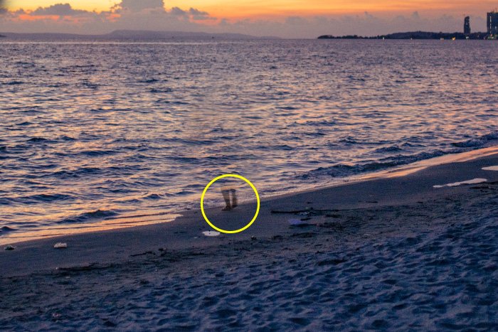 Screenshot showing how to remove something in photoshop, using a photo of a woman walking on a beach at evening time