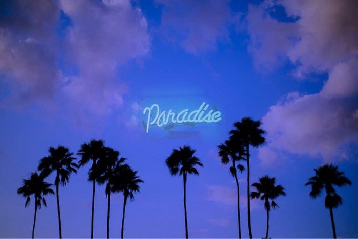 A photo of palm trees with a neon sign saying 'Paradise', created by superimposing two photos