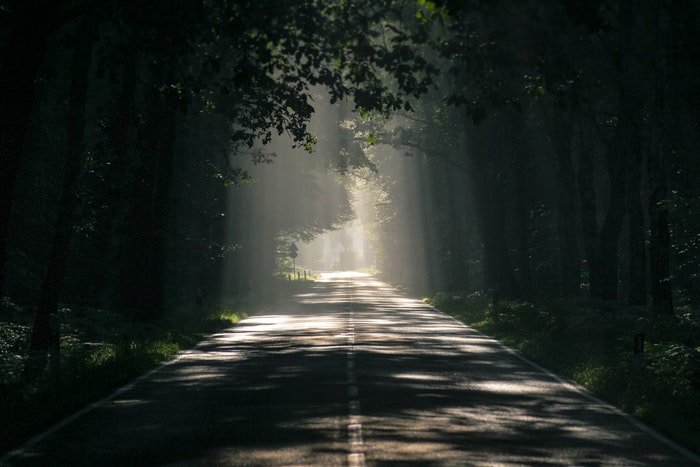a road through a shadowy forest