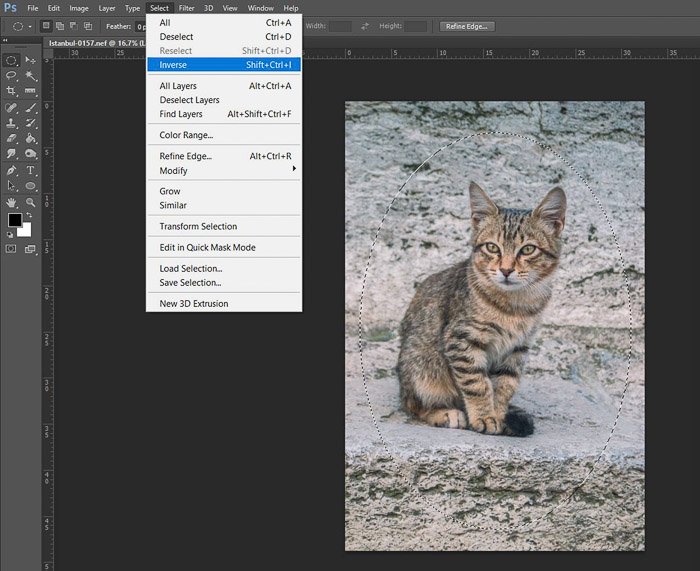 a screenshot showing how to edit photos in Photoshop for beginners - inverse layers