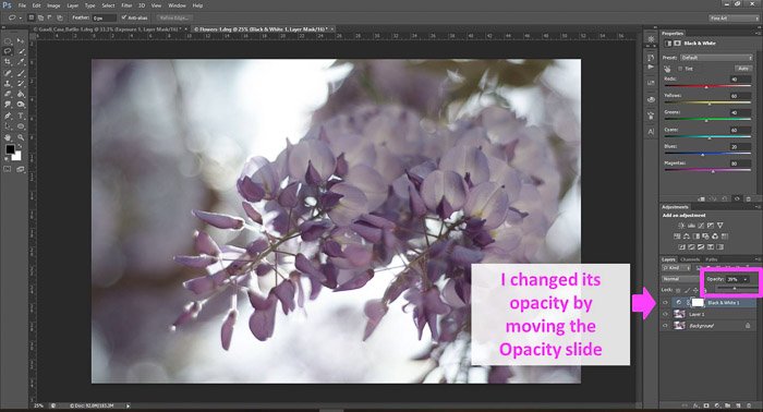a screenshot showing how to edit photos in Photoshop for beginners, with an arrow pointing to opacity slide