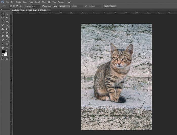 a screenshot of adding a vignette in Photoshop 