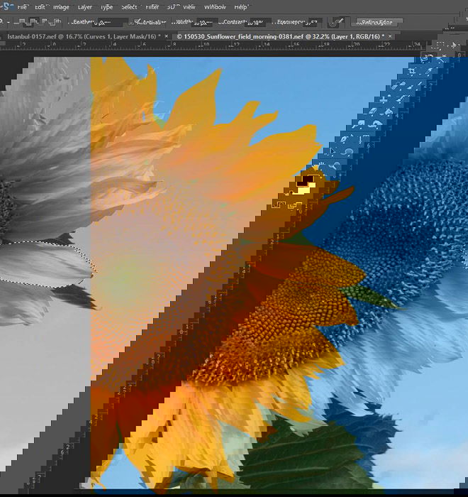 una captura de pantalla que muestra cómo seleccionar una forma libre en Photoshop