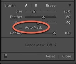 A screenshot of how to use brushes and masks in Lightroom