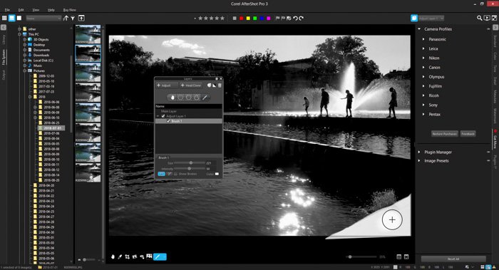 A screenshot of using layers in AfterShot Pro 3 review