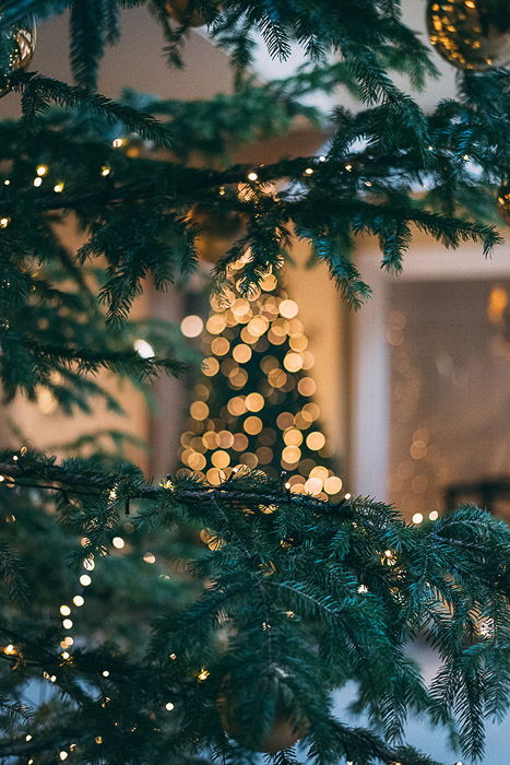 How to Shoot Christmas Bokeh Lights  With Stunning Examples  - 51