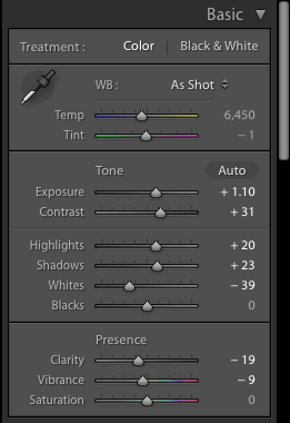 A screenshot showing how to use Lightroom Panels to achieve the Film Photography look