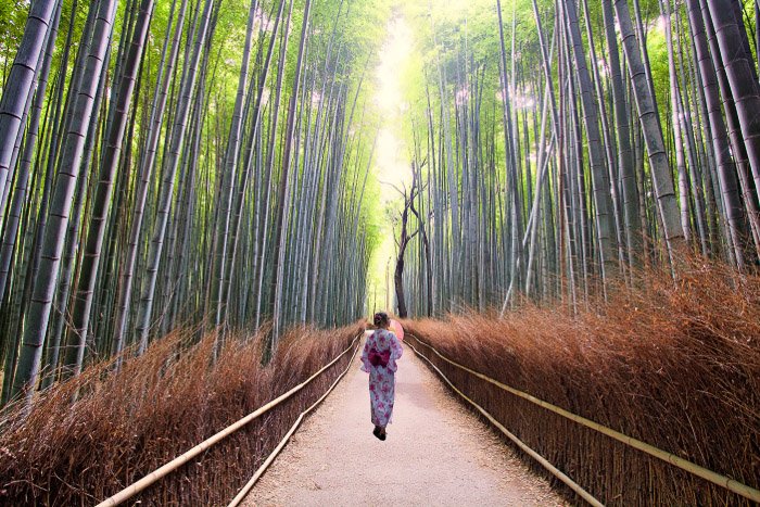 A girl in traditional japanese dress walking through a bamboo forest