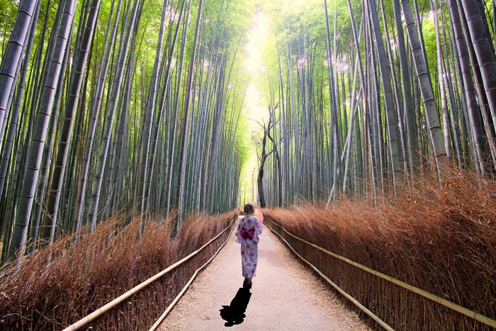 A girl in traditional japanese dress walking through a bamboo forest, casting a strong shadow