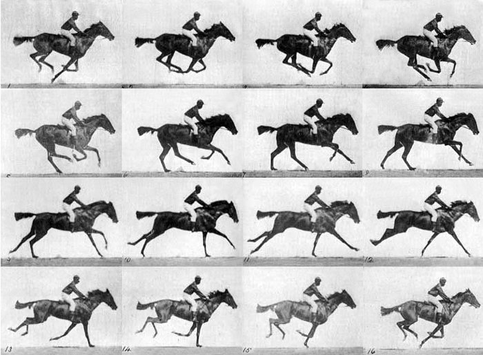 Sequence of a Race Horse Galloping - Eadweard Muybridge, most famous photos