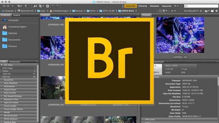 A screenshot of opening Adobe Bridge with logo