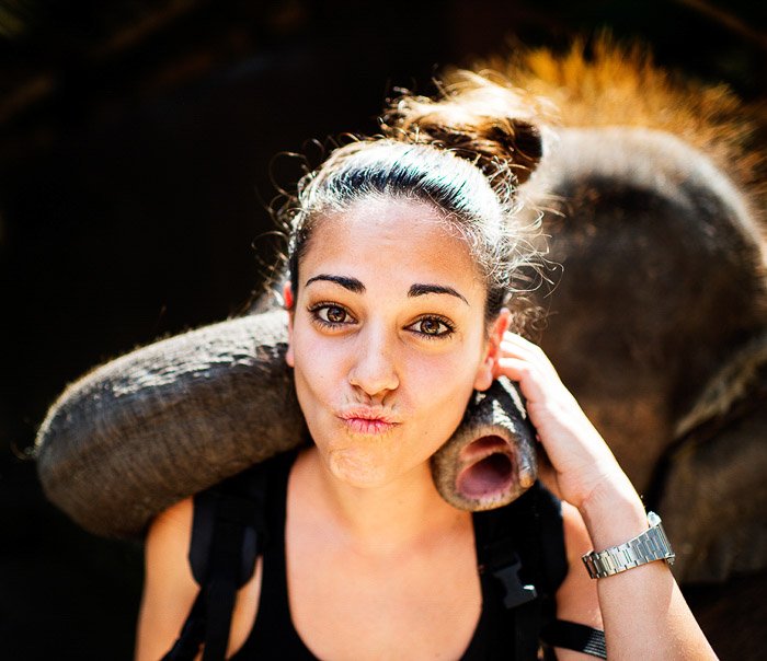 A rim light portrait of a female tourist posing with an elephant