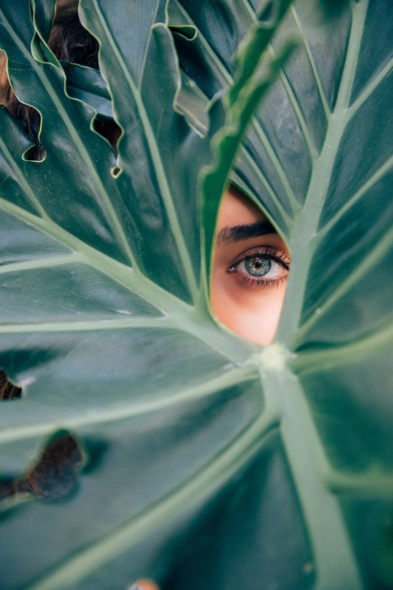 An artistic shot of a person's eye and eyebrow seen through a hole between plant leaves