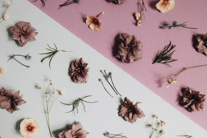 A still life photograph of flowers which demonstrates the principles of design in photography