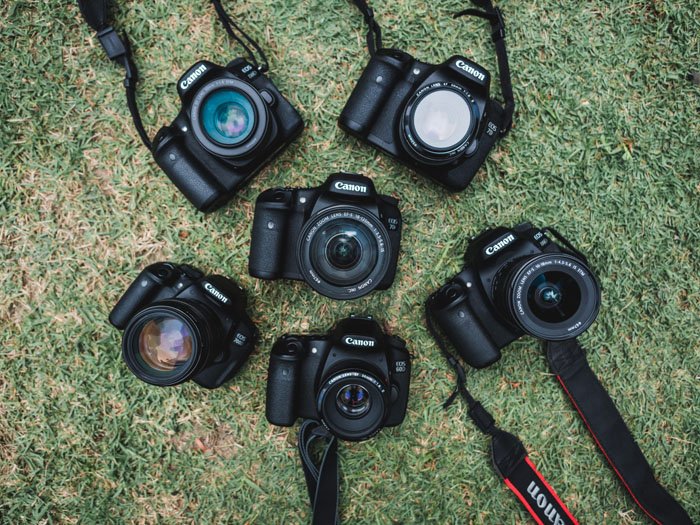 Six different camera bodies on the grass