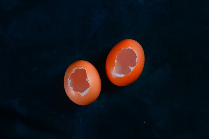 two empty eggshells on dark background