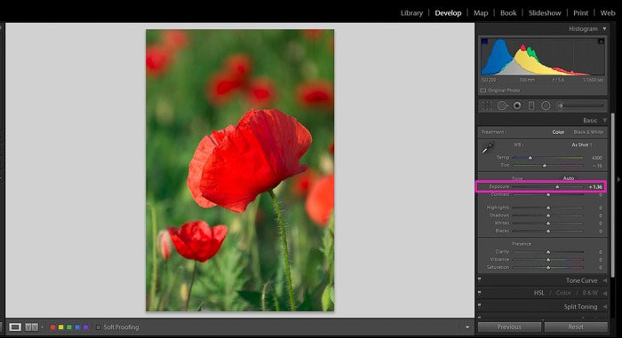 Screenshot showing how to fix an underexposed photo in Lightroom